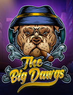 เดิมพันง่ายๆ กับ reel slot ที่ใครก็เล่นได้